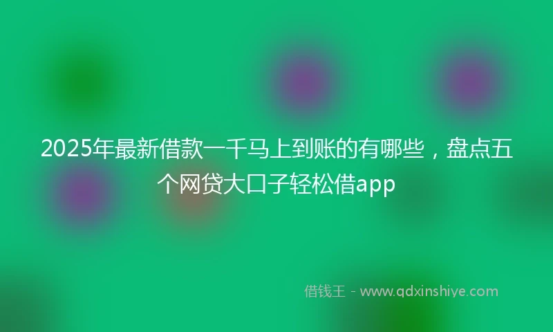 2025年最新借款一千马上到账的有哪些，盘点五个网贷大口子轻松借app