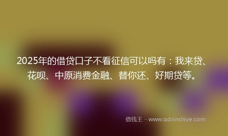 2025年的借贷口子不看征信可以吗有：我来贷、花呗、中原消费金融、替你还、好期贷等。