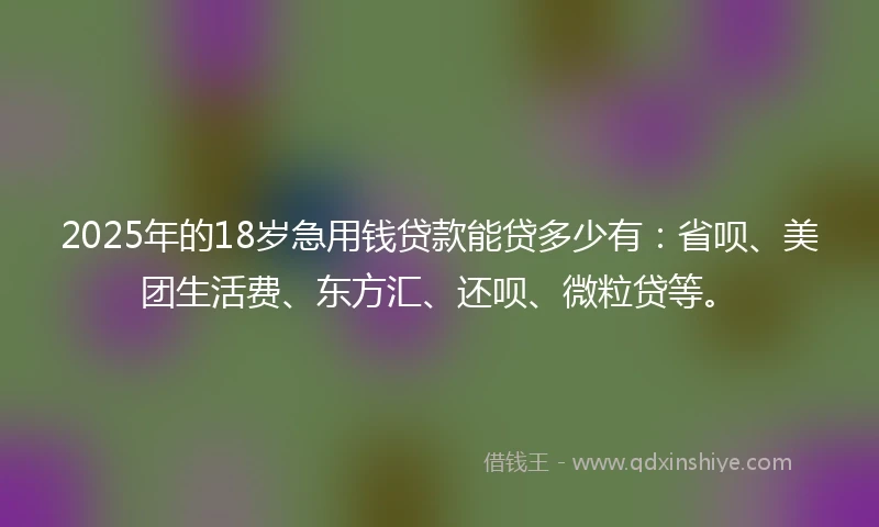 2025年的18岁急用钱贷款能贷多少有：省呗、美团生活费、东方汇、还呗、微粒贷等。