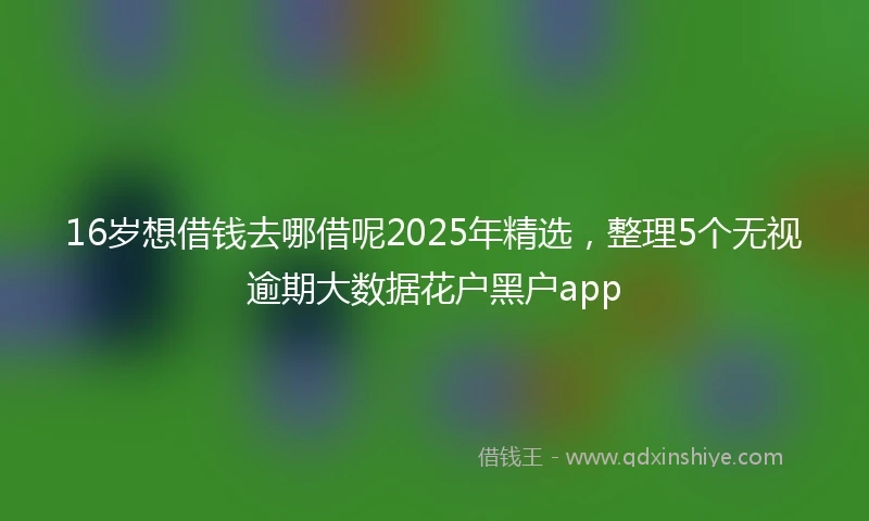 16岁想借钱去哪借呢2025年精选，整理5个无视逾期大数据花户黑户app