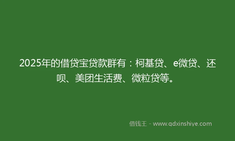 2025年的借贷宝贷款群有：柯基贷、e微贷、还呗、美团生活费、微粒贷等。