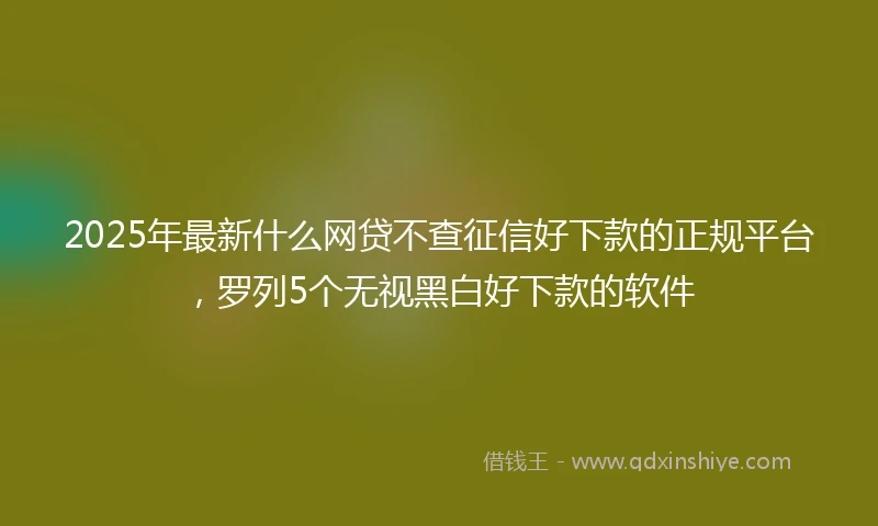 2025年最新什么网贷不查征信好下款的正规平台，罗列5个无视黑白好下款的软件