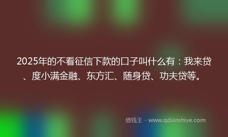 2025年的不看征信下款的口子叫什么有：我来贷、度小满金融、东方汇、随身贷、功夫贷等。
