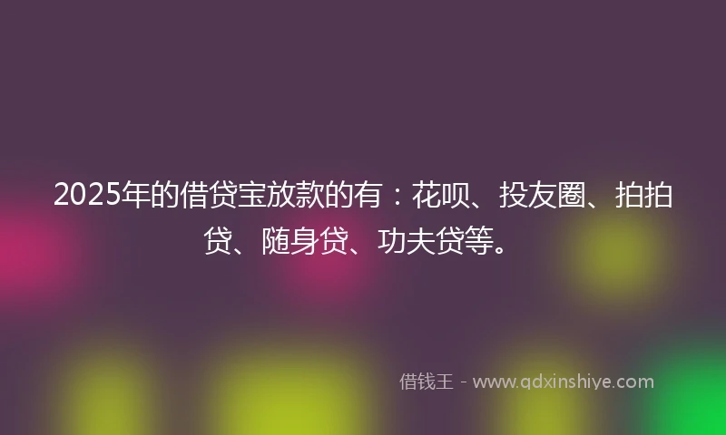 2025年的借贷宝放款的有：花呗、投友圈、拍拍贷、随身贷、功夫贷等。