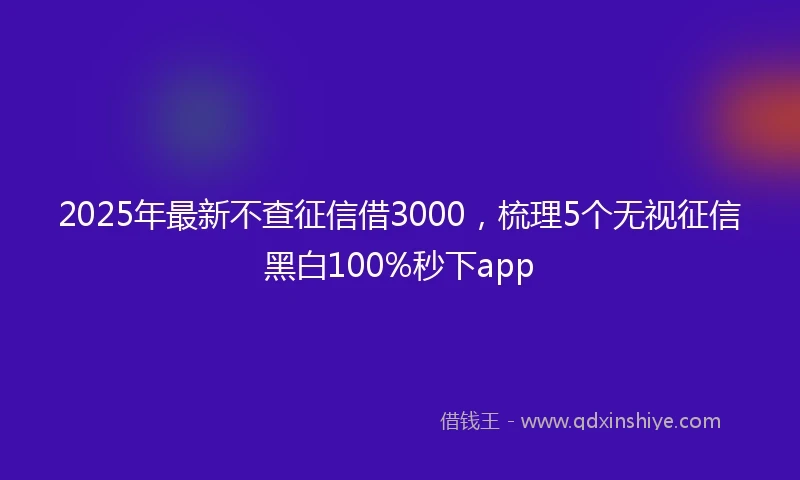 2025年最新不查征信借3000，梳理5个无视征信黑白100%秒下app