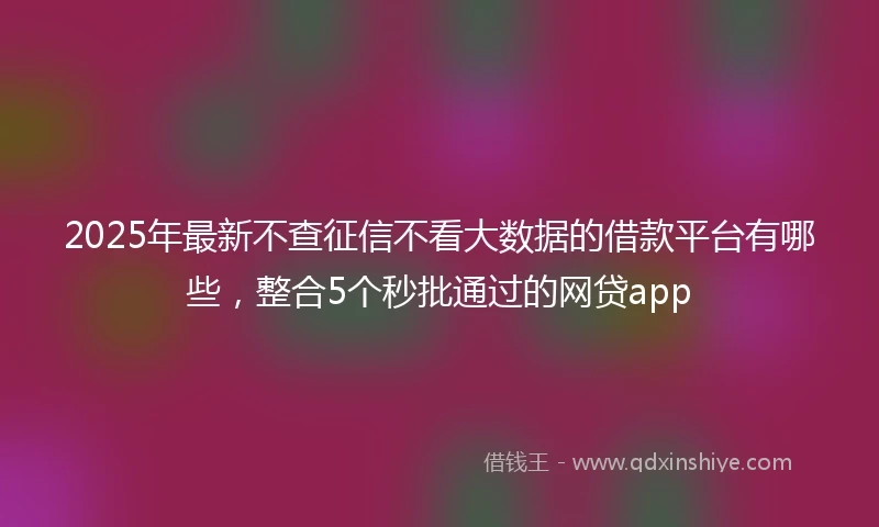 2025年最新不查征信不看大数据的借款平台有哪些，整合5个秒批通过的网贷app