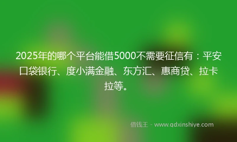 2025年的哪个平台能借5000不需要征信有：平安口袋银行、度小满金融、东方汇、惠商贷、拉卡拉等。
