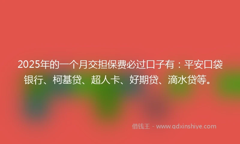 2025年的一个月交担保费必过口子有：平安口袋银行、柯基贷、超人卡、好期贷、滴水贷等。