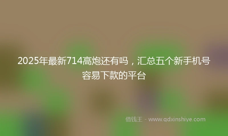 2025年最新714高炮还有吗，汇总五个新手机号容易下款的平台