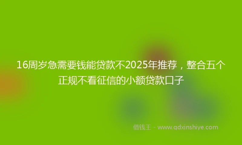 16周岁急需要钱能贷款不2025年推荐，整合五个正规不看征信的小额贷款口子
