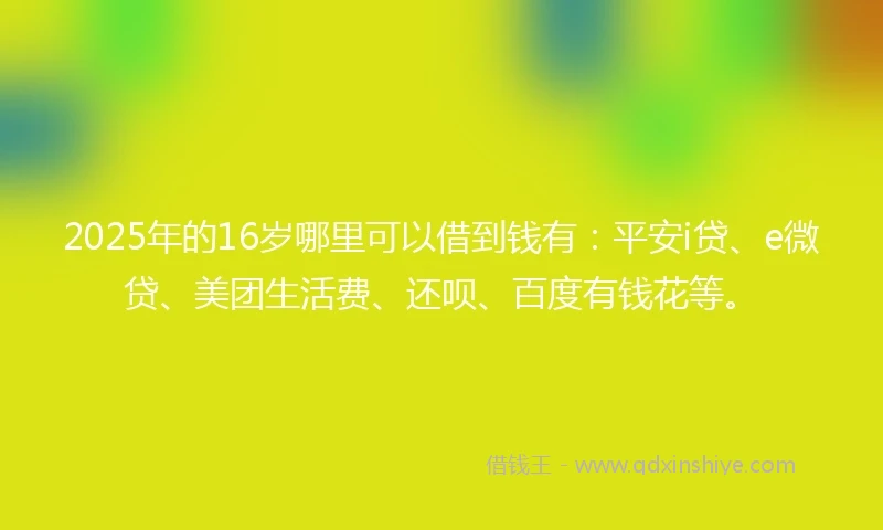2025年的16岁哪里可以借到钱有：平安i贷、e微贷、美团生活费、还呗、百度有钱花等。