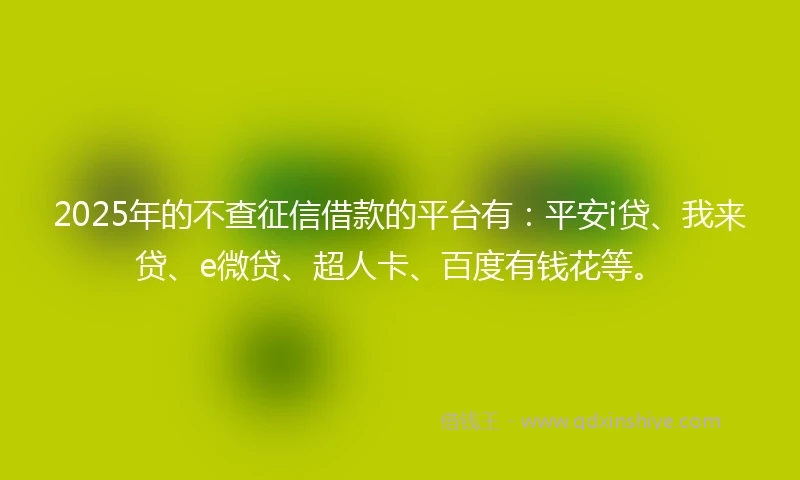 2025年的不查征信借款的平台有：平安i贷、我来贷、e微贷、超人卡、百度有钱花等。