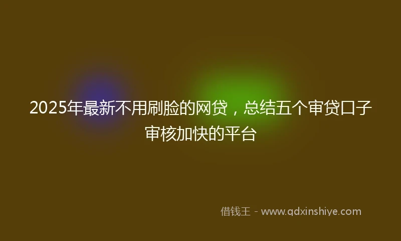 2025年最新不用刷脸的网贷，总结五个审贷口子审核加快的平台
