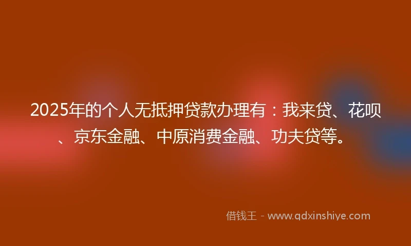 2025年的个人无抵押贷款办理有：我来贷、花呗、京东金融、中原消费金融、功夫贷等。