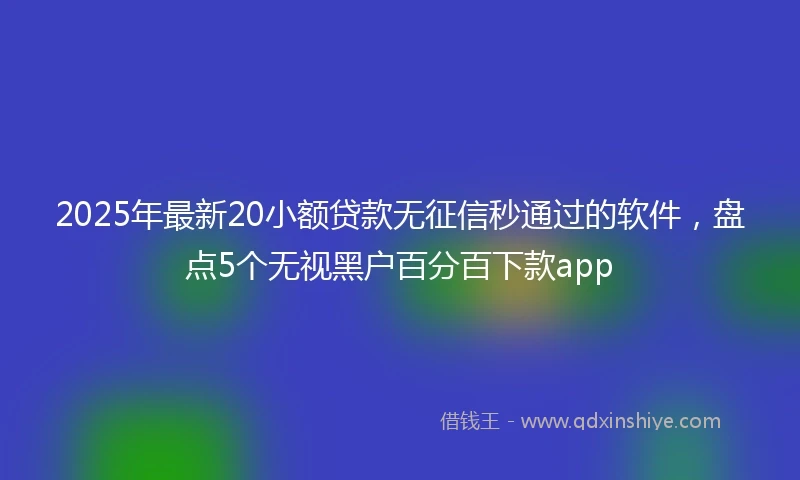 2025年最新20小额贷款无征信秒通过的软件，盘点5个无视黑户百分百下款app