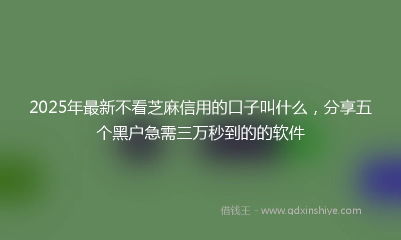 2025年最新不看芝麻信用的口子叫什么，分享五个黑户急需三万秒到的的软件