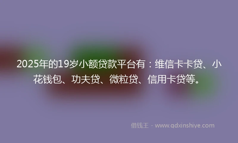 2025年的19岁小额贷款平台有：维信卡卡贷、小花钱包、功夫贷、微粒贷、信用卡贷等。