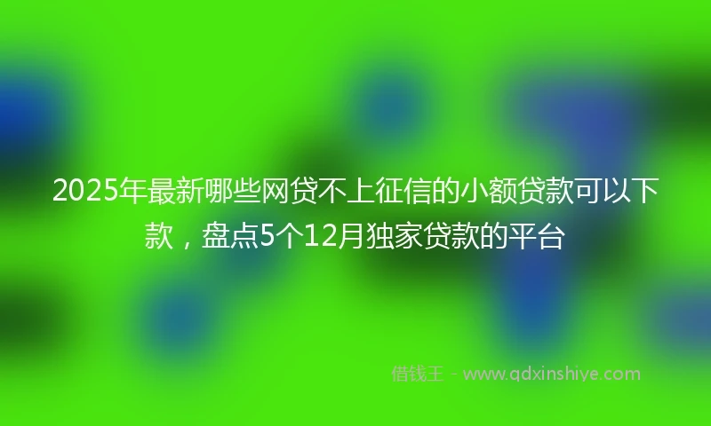2025年最新哪些网贷不上征信的小额贷款可以下款，盘点5个12月独家贷款的平台