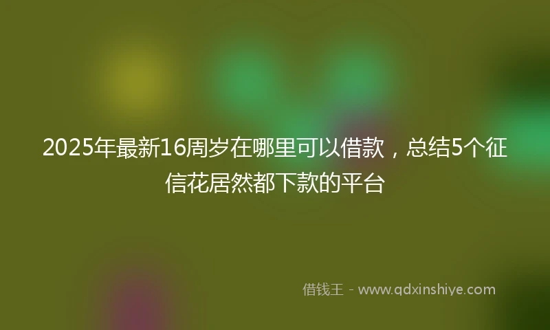 2025年最新16周岁在哪里可以借款，总结5个征信花居然都下款的平台