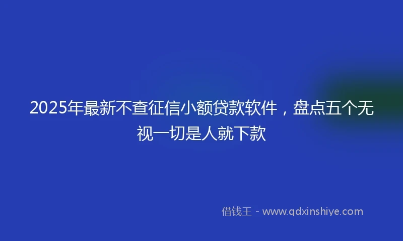 2025年最新不查征信小额贷款软件，盘点五个无视一切是人就下款