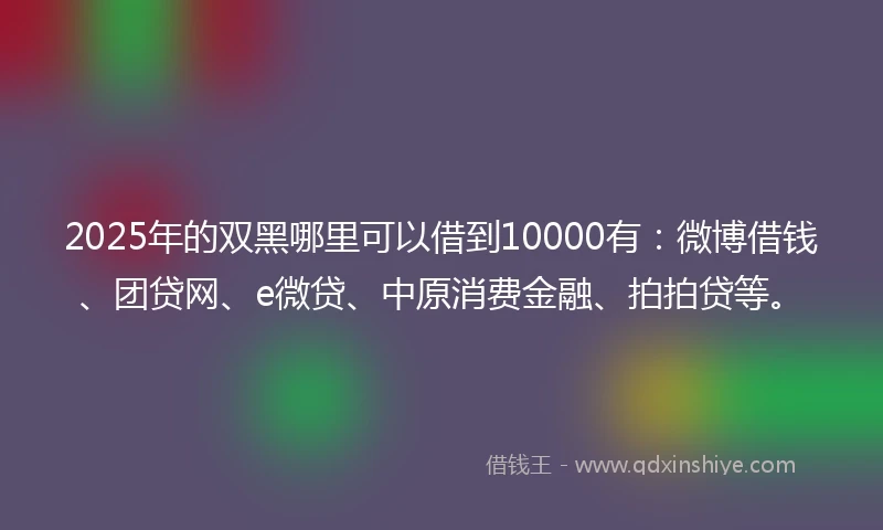 2025年的双黑哪里可以借到10000有：微博借钱、团贷网、e微贷、中原消费金融、拍拍贷等。