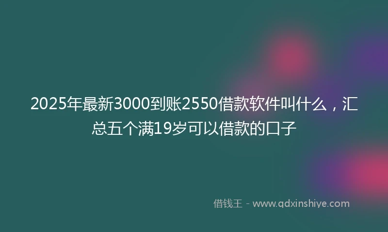 2025年最新3000到账2550借款软件叫什么，汇总五个满19岁可以借款的口子