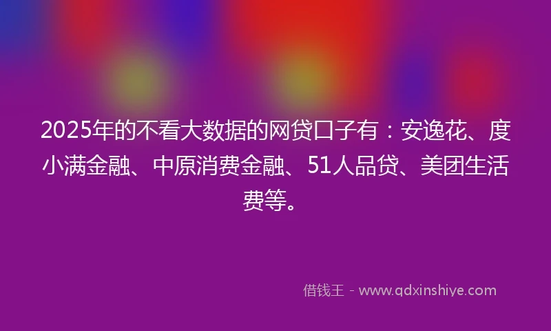 2025年的不看大数据的网贷口子有：安逸花、度小满金融、中原消费金融、51人品贷、美团生活费等。