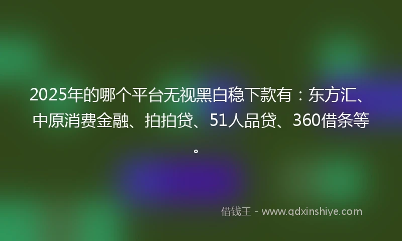 2025年的哪个平台无视黑白稳下款有：东方汇、中原消费金融、拍拍贷、51人品贷、360借条等。