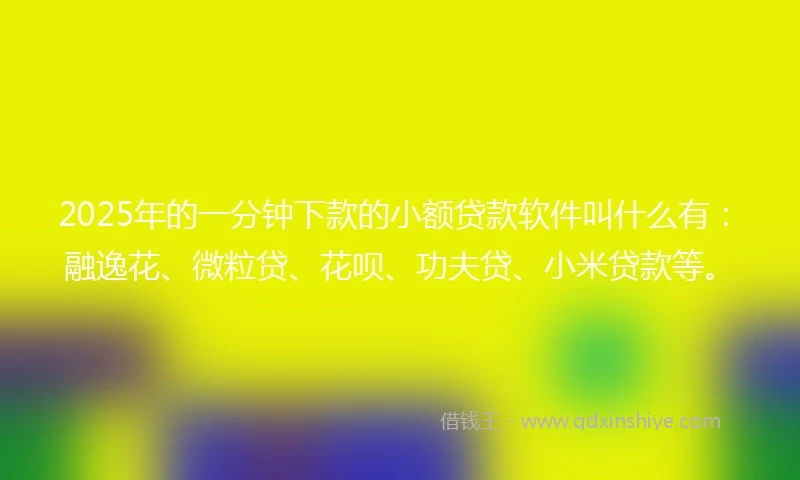 2025年的一分钟下款的小额贷款软件叫什么有：融逸花、微粒贷、花呗、功夫贷、小米贷款等。