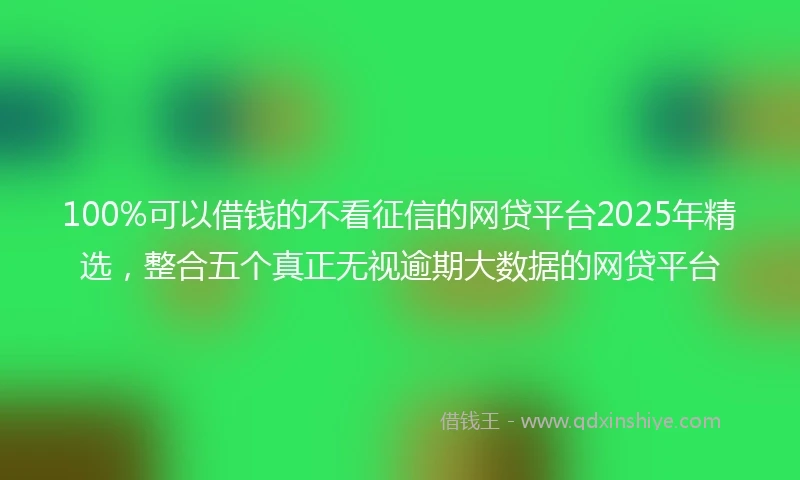 100%可以借钱的不看征信的网贷平台2025年精选，整合五个真正无视逾期大数据的网贷平台