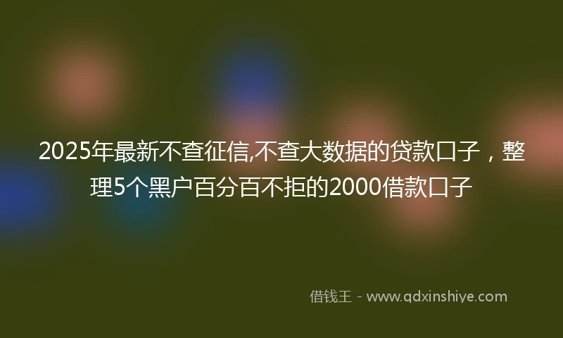 2025年最新不查征信,不查大数据的贷款口子，整理5个黑户百分百不拒的2000借款口子