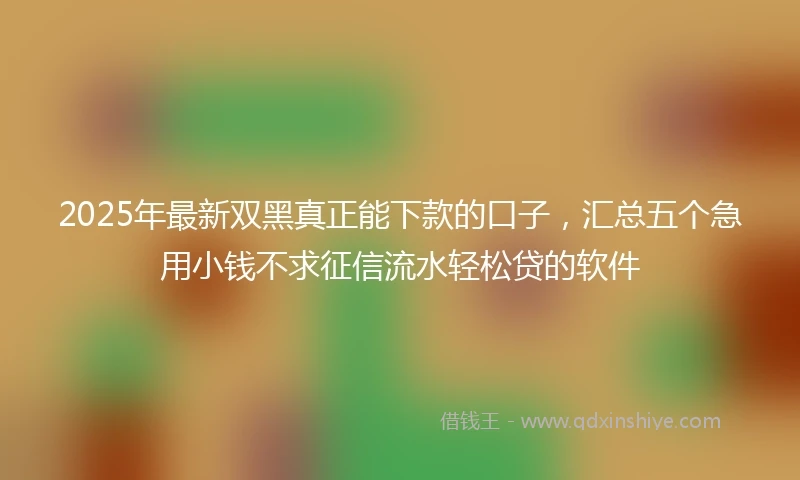 2025年最新双黑真正能下款的口子，汇总五个急用小钱不求征信流水轻松贷的软件