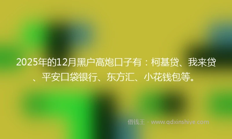 2025年的12月黑户高炮口子有：柯基贷、我来贷、平安口袋银行、东方汇、小花钱包等。