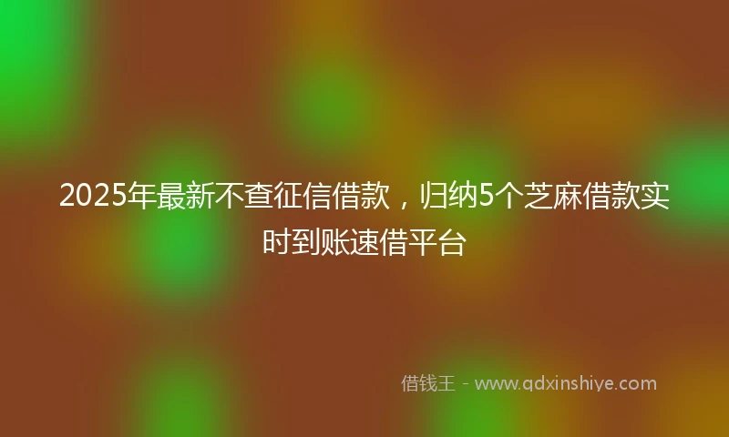 2025年最新不查征信借款，归纳5个芝麻借款实时到账速借平台