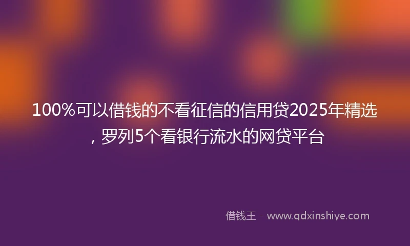 100%可以借钱的不看征信的信用贷2025年精选，罗列5个看银行流水的网贷平台
