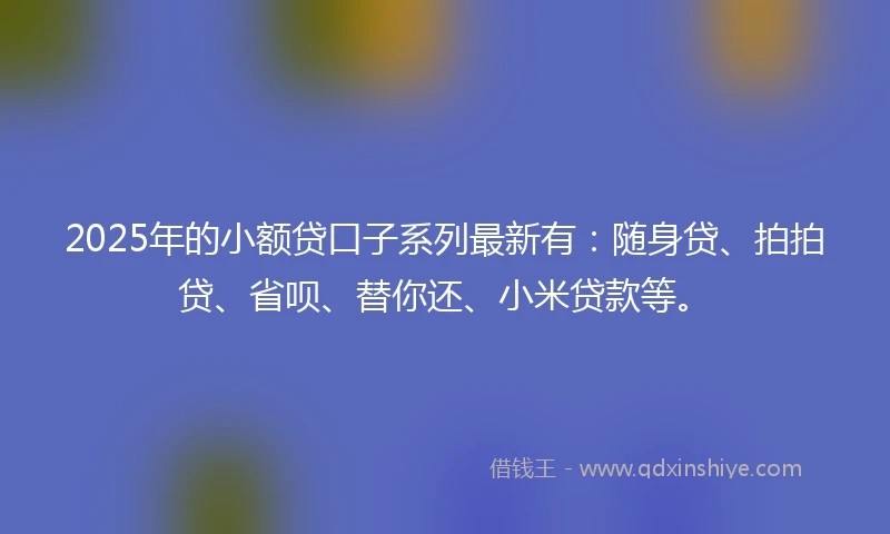 2025年的小额贷口子系列最新有：随身贷、拍拍贷、省呗、替你还、小米贷款等。