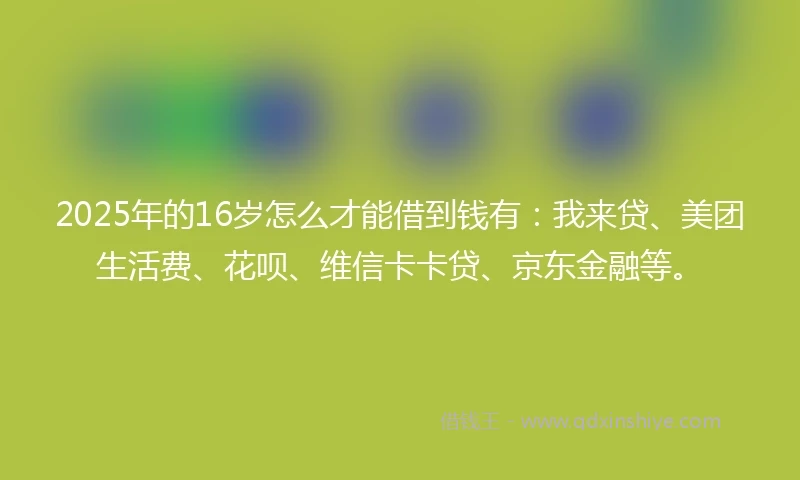 2025年的16岁怎么才能借到钱有：我来贷、美团生活费、花呗、维信卡卡贷、京东金融等。