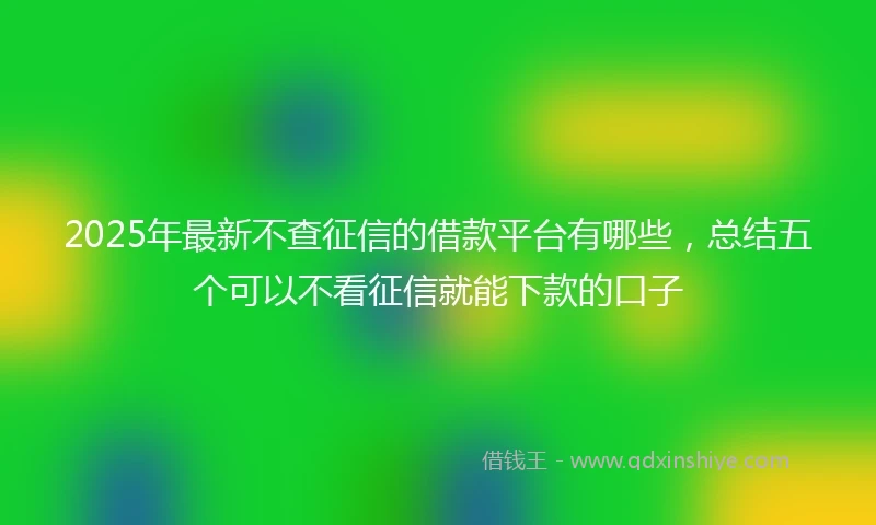 2025年最新不查征信的借款平台有哪些，总结五个可以不看征信就能下款的口子