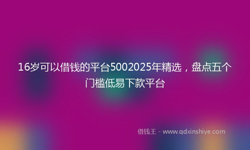 16岁可以借钱的平台5002025年精选，盘点五个门槛低易下款平台