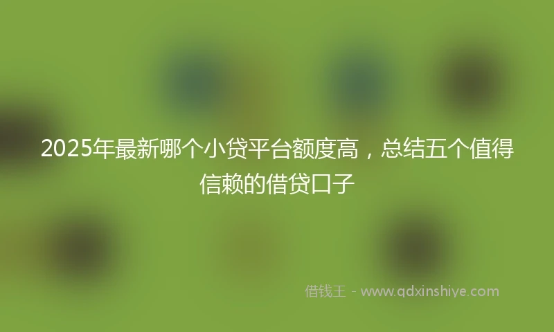 2025年最新哪个小贷平台额度高，总结五个值得信赖的借贷口子