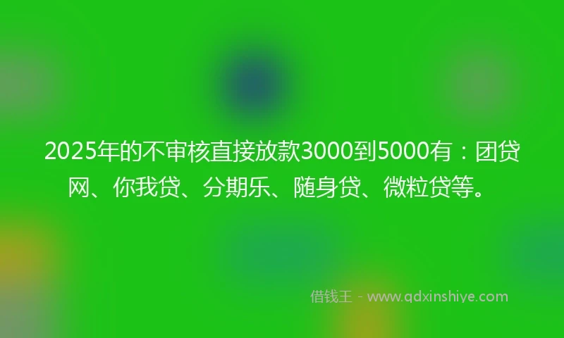 2025年的不审核直接放款3000到5000有：团贷网、你我贷、分期乐、随身贷、微粒贷等。