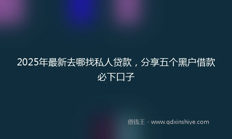 2025年最新去哪找私人贷款，分享五个黑户借款必下口子