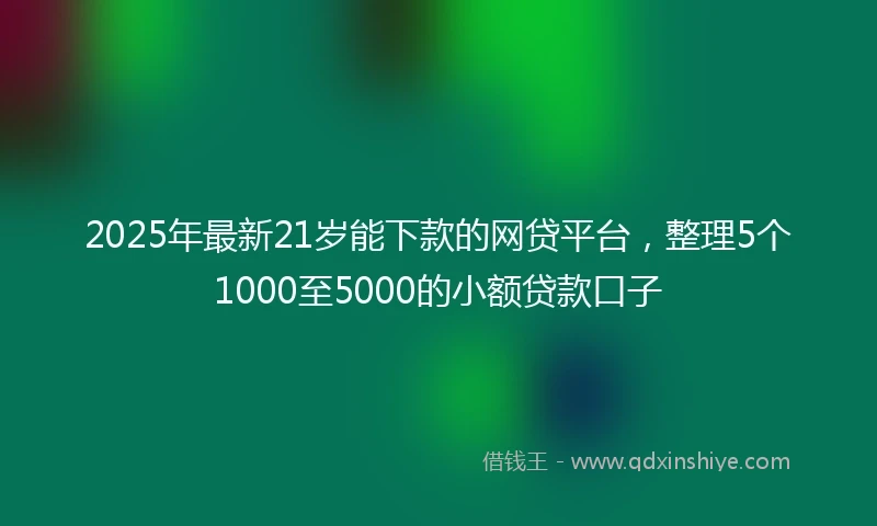 2025年最新21岁能下款的网贷平台，整理5个1000至5000的小额贷款口子