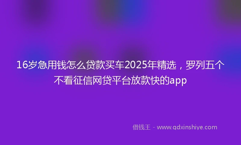 16岁急用钱怎么贷款买车2025年精选，罗列五个不看征信网贷平台放款快的app