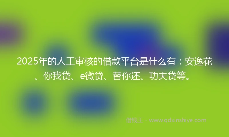 2025年的人工审核的借款平台是什么有：安逸花、你我贷、e微贷、替你还、功夫贷等。