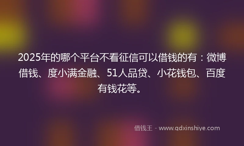 2025年的哪个平台不看征信可以借钱的有：微博借钱、度小满金融、51人品贷、小花钱包、百度有钱花等。