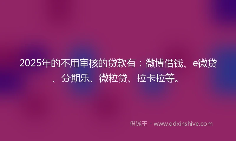 2025年的不用审核的贷款有：微博借钱、e微贷、分期乐、微粒贷、拉卡拉等。