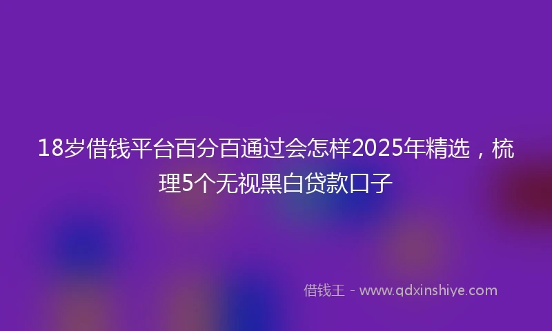 18岁借钱平台百分百通过会怎样2025年精选，梳理5个无视黑白贷款口子