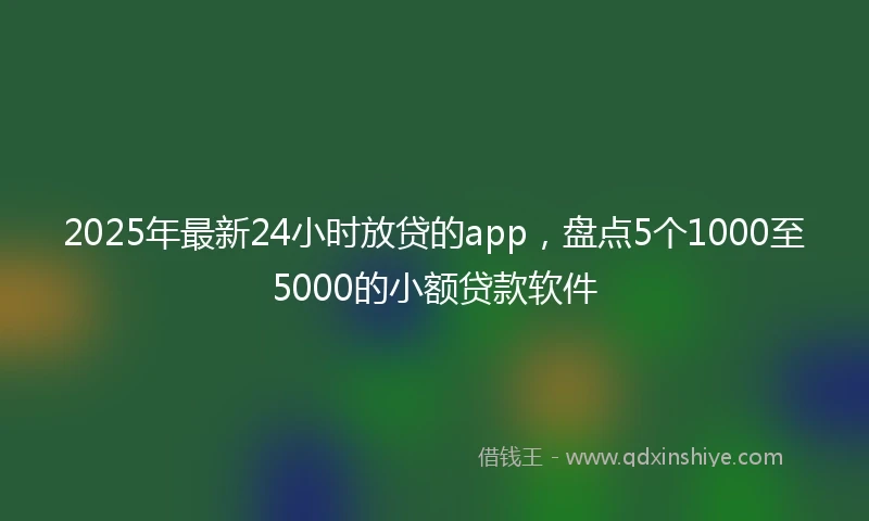 2025年最新24小时放贷的app，盘点5个1000至5000的小额贷款软件