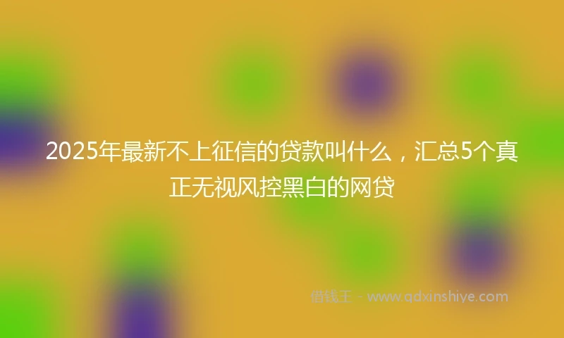 2025年最新不上征信的贷款叫什么，汇总5个真正无视风控黑白的网贷